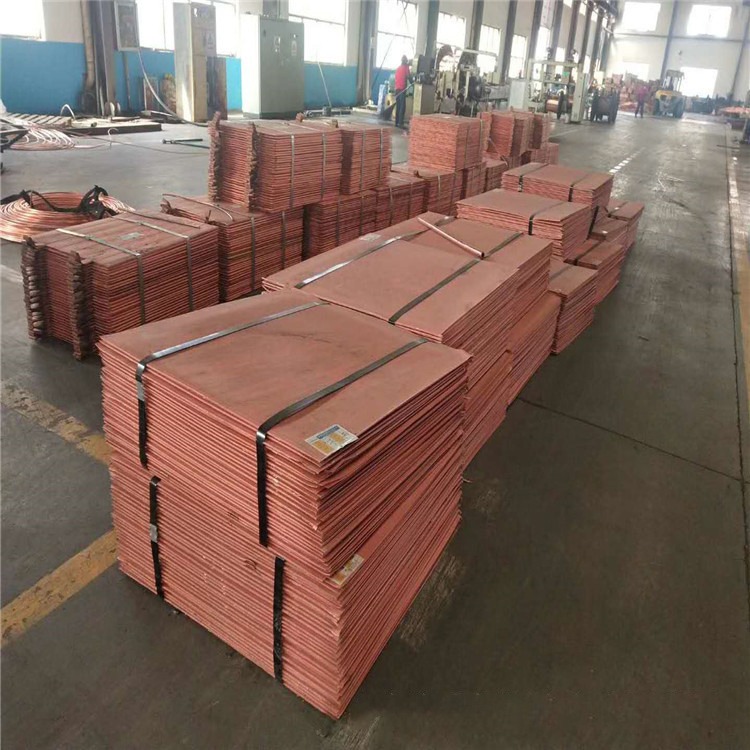 whatsapp image 2026 01 01 at 6.19.57 pm (1)